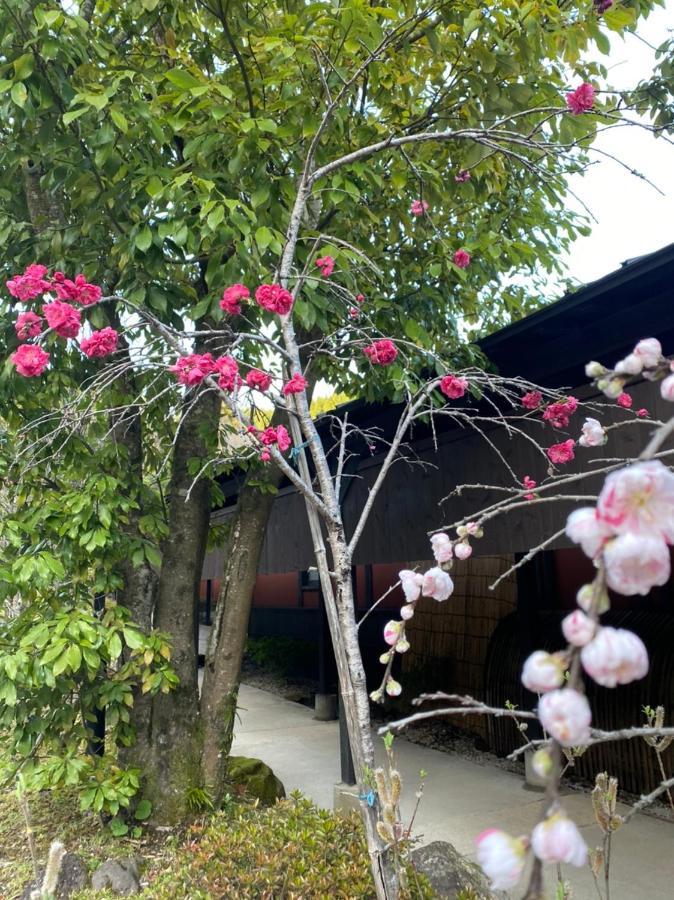 Yufuin Ryoan Wazanho Hotel Oita Exterior foto
